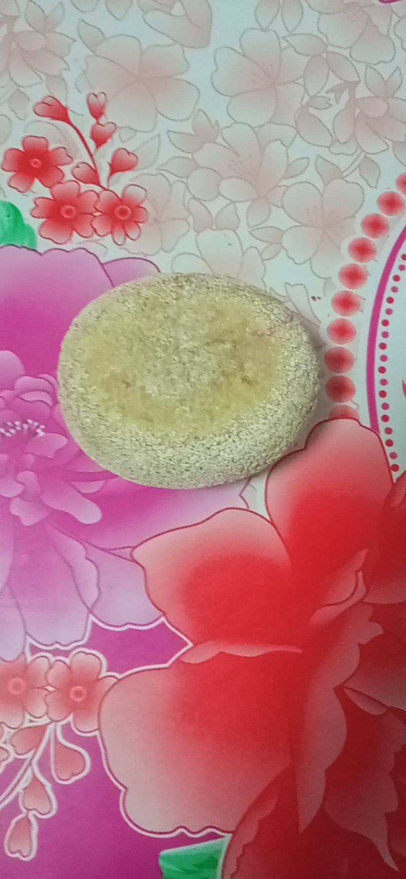 天然狗宝