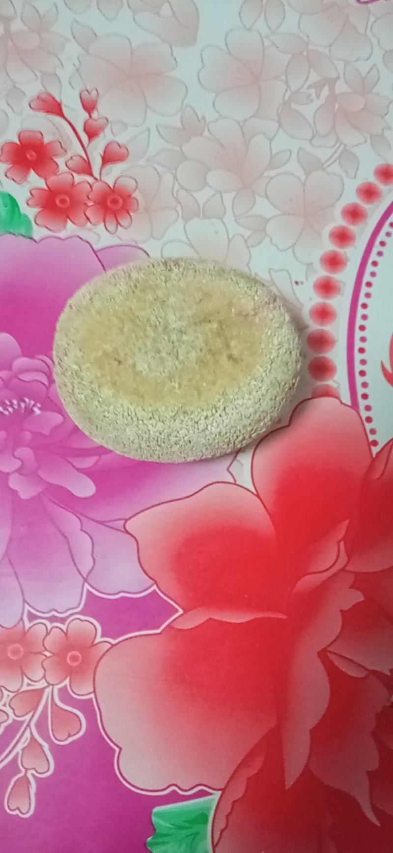 天然狗宝