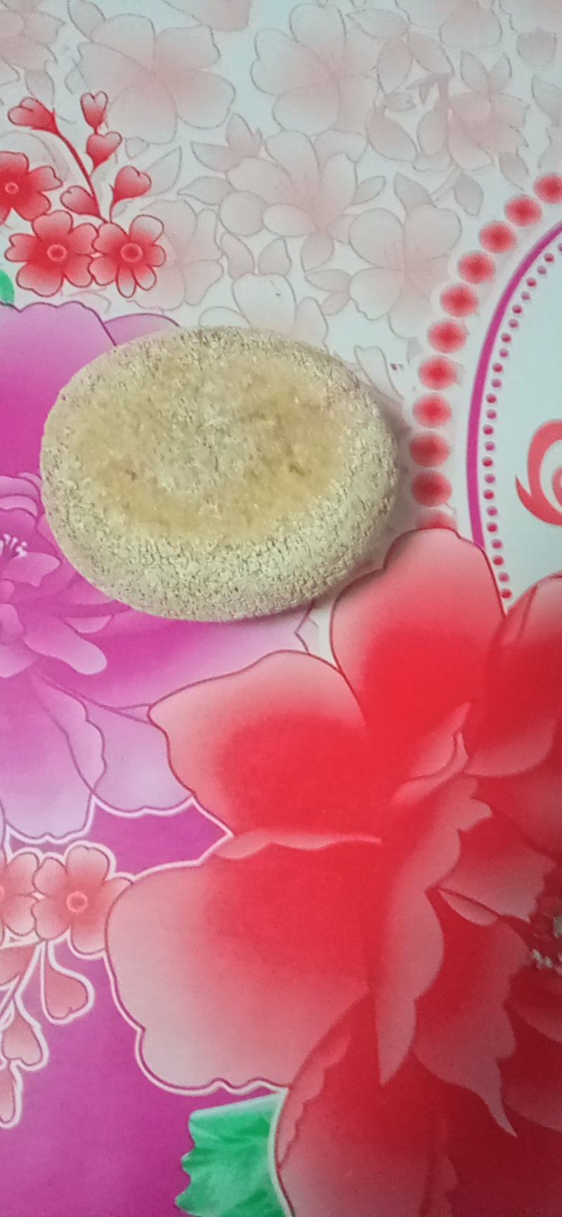 天然狗宝