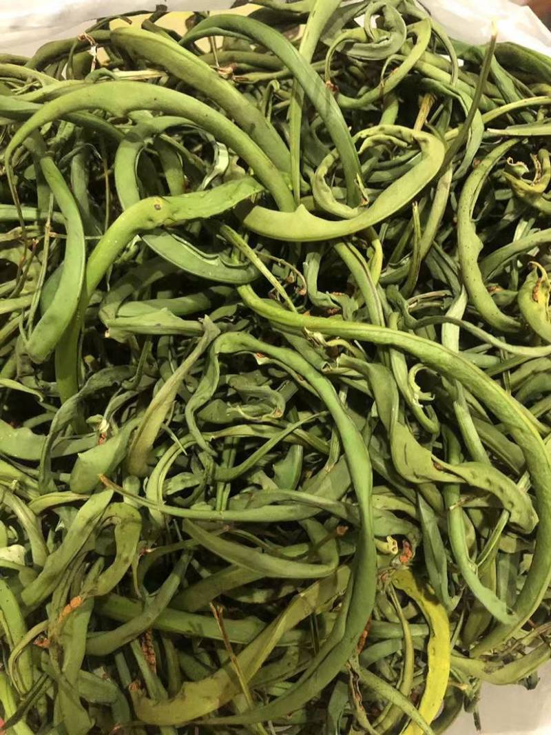 化石草大叶化石草野生肾精结石草包干货邮