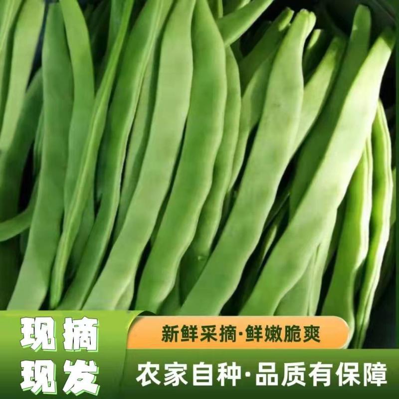 山东莘县大棚精品扁豆大量有现货质量保证包装精美价格优惠