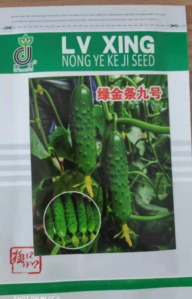 山东寿光绿金条强雌旱黄瓜种子大刺瘤节节有瓜包邮