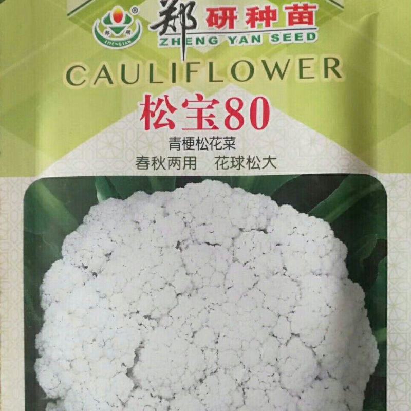 松宝80青梗松花菜种子，7克