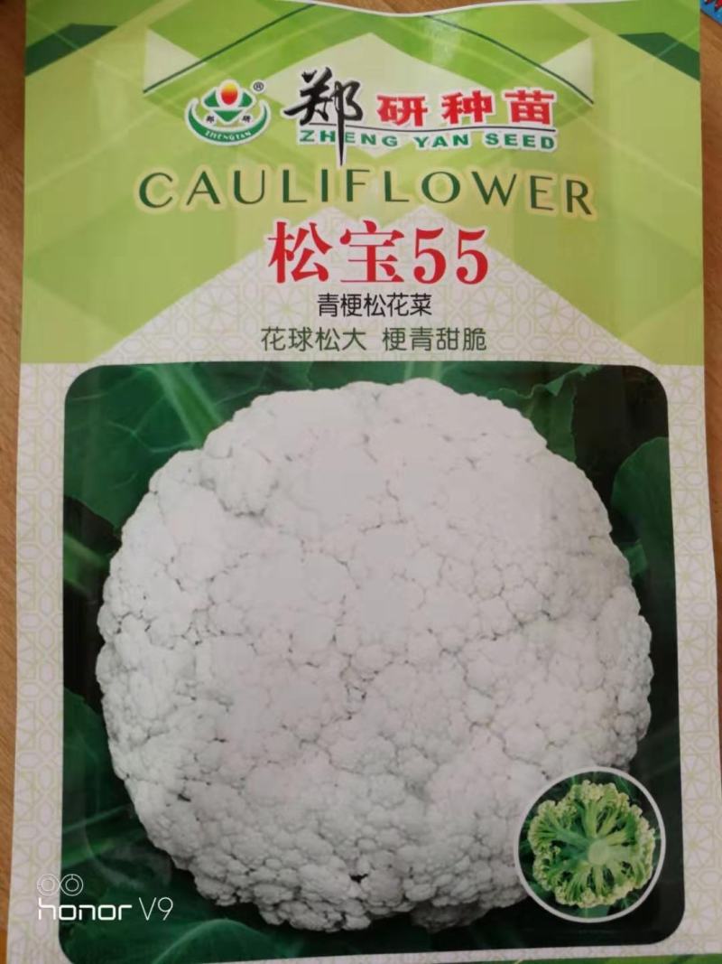 松宝55青梗松花菜种子