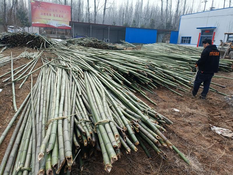 竹竿菜架竹，支撑杆大棚竹杆各种规格，全国发货