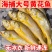 黄花鱼多规格新鲜冷冻海捕黄鱼舟山小黄鱼水产批发整箱