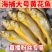 黄花鱼多规格新鲜冷冻海捕黄鱼舟山小黄鱼水产批发整箱