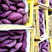 紫薯：年产约10万斤！