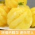 脆甜云南香水小菠萝当季现摘新鲜水果商超批发对接一件代发