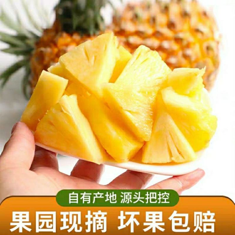 脆甜云南香水小菠萝当季现摘新鲜水果商超批发对接一件代发