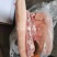 前五花肉猪肉前腿肉20斤五花肉猪五花肉，冷冻前腿五花肉