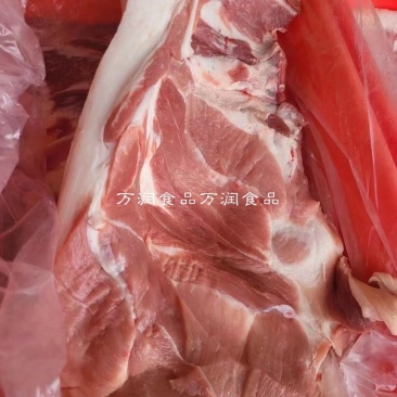 前五花肉猪肉前腿肉20斤五花肉猪五花肉，冷冻前腿五花肉