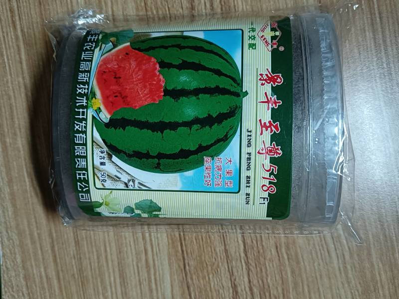 礼品西瓜种子，西瓜种子，单瓜重2公斤，好看好吃