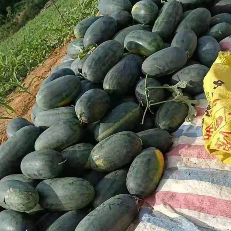 黑美人