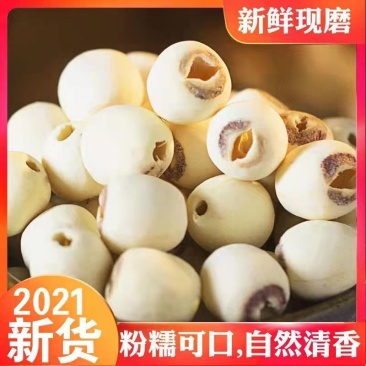 【微山湖莲子】高品质无芯磨皮白莲子干货去心去皮带芯红莲子