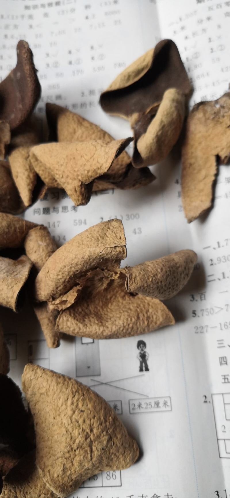 广西中药材陈皮/营养丰富/现货秒发/量大价优/品质保证