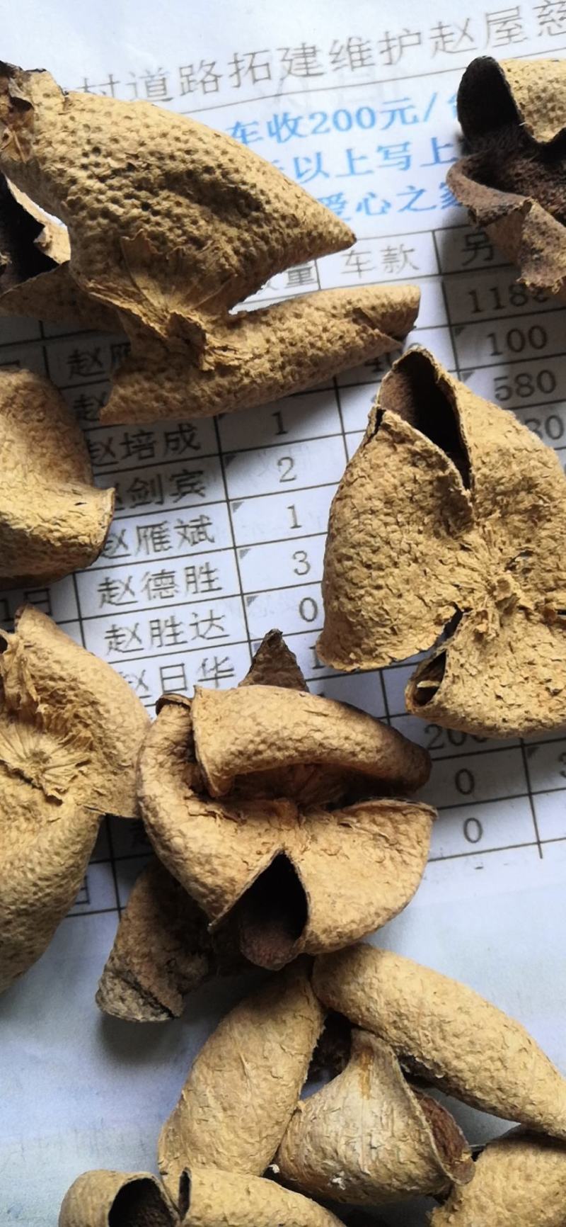 广西中药材陈皮/营养丰富/现货秒发/量大价优/品质保证