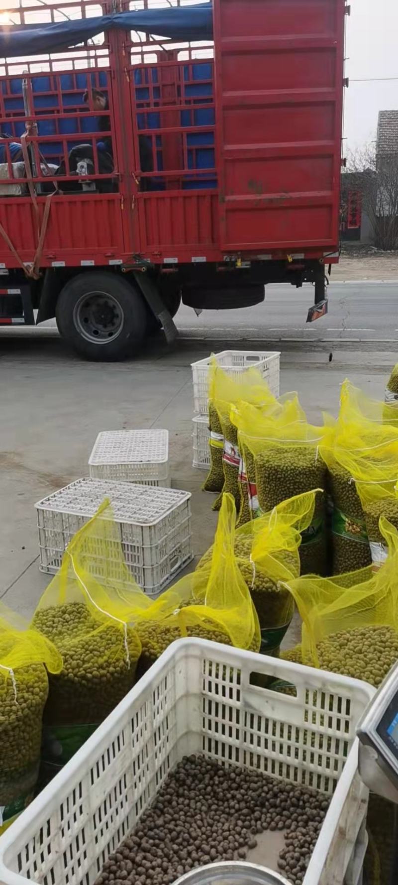 产地常年批发零售优质白玉山药豆规格齐全价格合理需要的老板