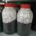 平菇菌种，春夏秋品种！800毫升标准瓶！棉籽壳培养基！