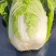 矮颗黄心大白菜2022年3月份开始上市的大棚蔬菜
