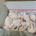 清真500天以上全净膛去肺去油老母鸡6只到10只