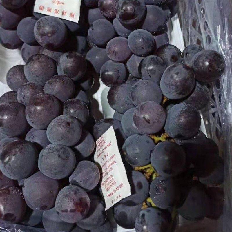 产地热销，5斤白盒精品葡萄质量好价格优惠。