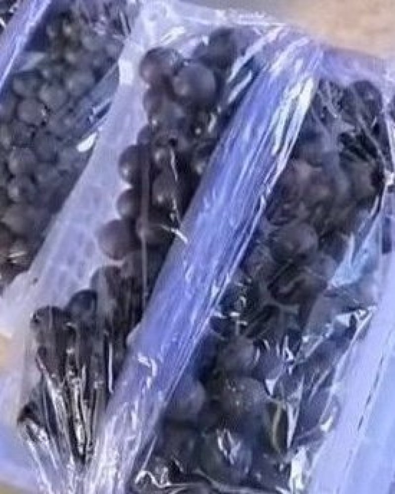 产地热销，5斤白盒精品葡萄质量好价格优惠。