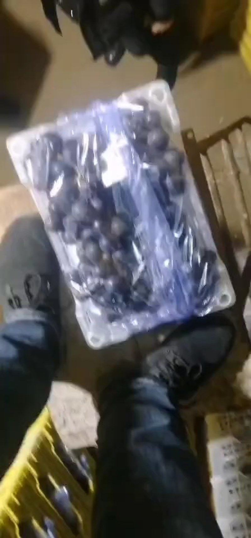 产地热销，5斤白盒精品葡萄质量好价格优惠。