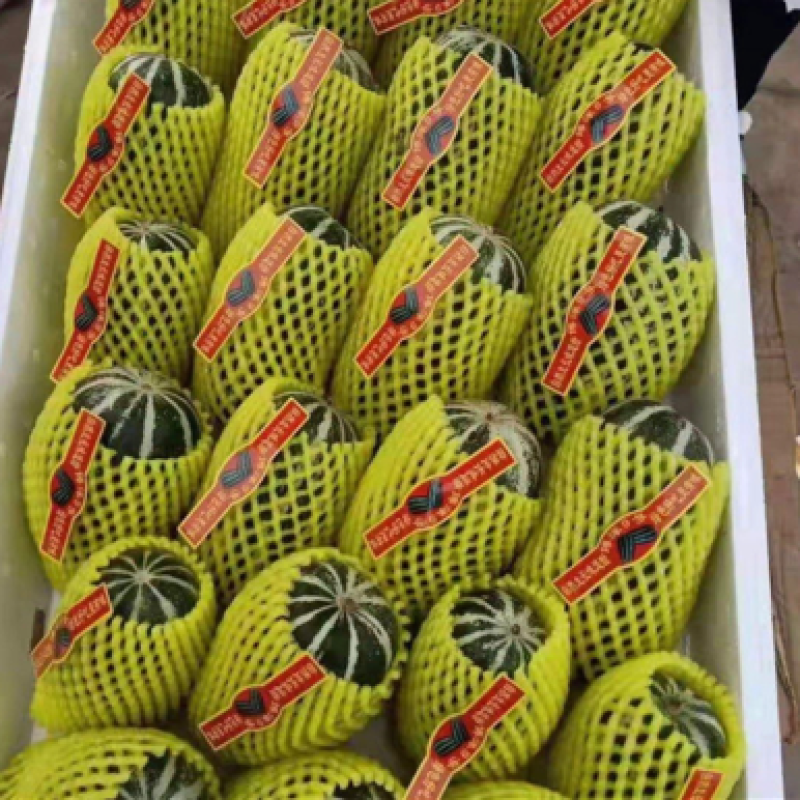 香甜瓜，