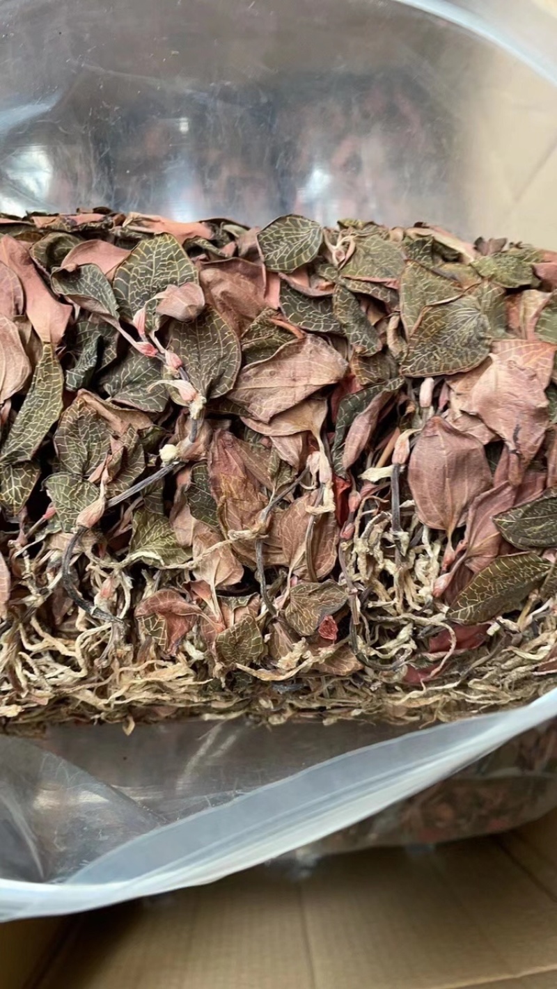 红霞金线莲产地直销，价格优势，货美价值，大量现货供应