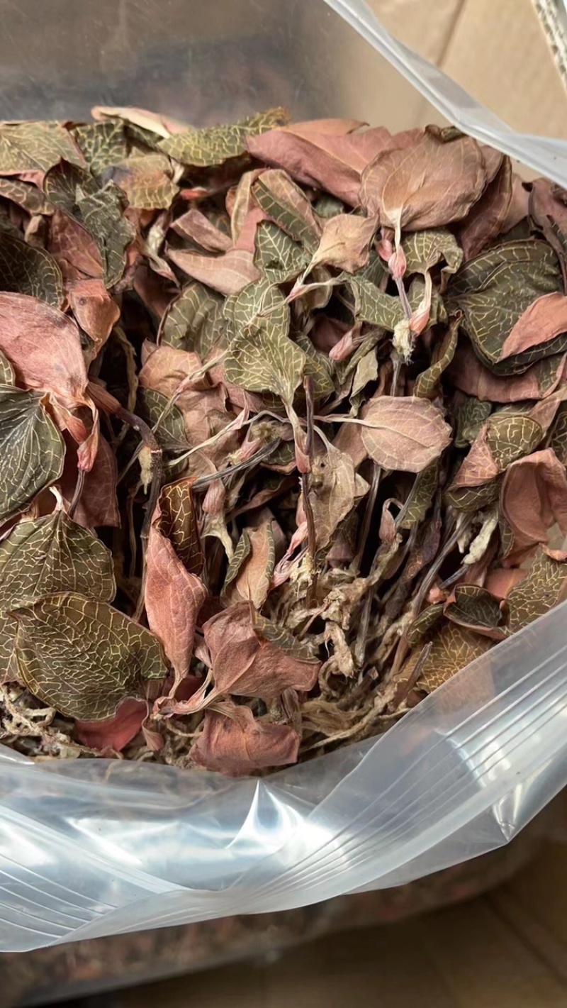 红霞金线莲产地直销，价格优势，货美价值，大量现货供应