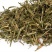瞿麦中药材瞿麦巨麦翟麦石竹巨麦