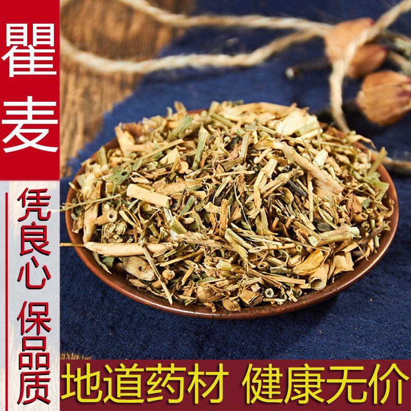瞿麦中药材瞿麦巨麦翟麦石竹巨麦