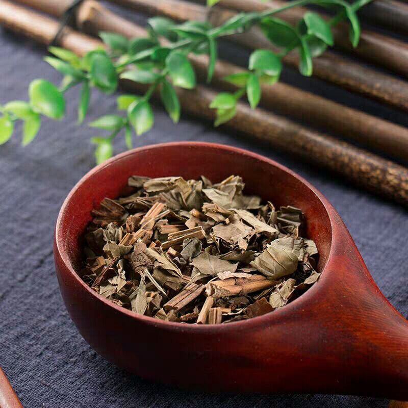 三白草三白草中药材天性草塘边藕白花莲