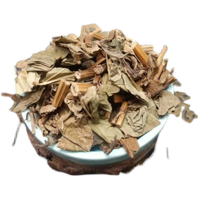 三白草三白草中药材天性草塘边藕白花莲
