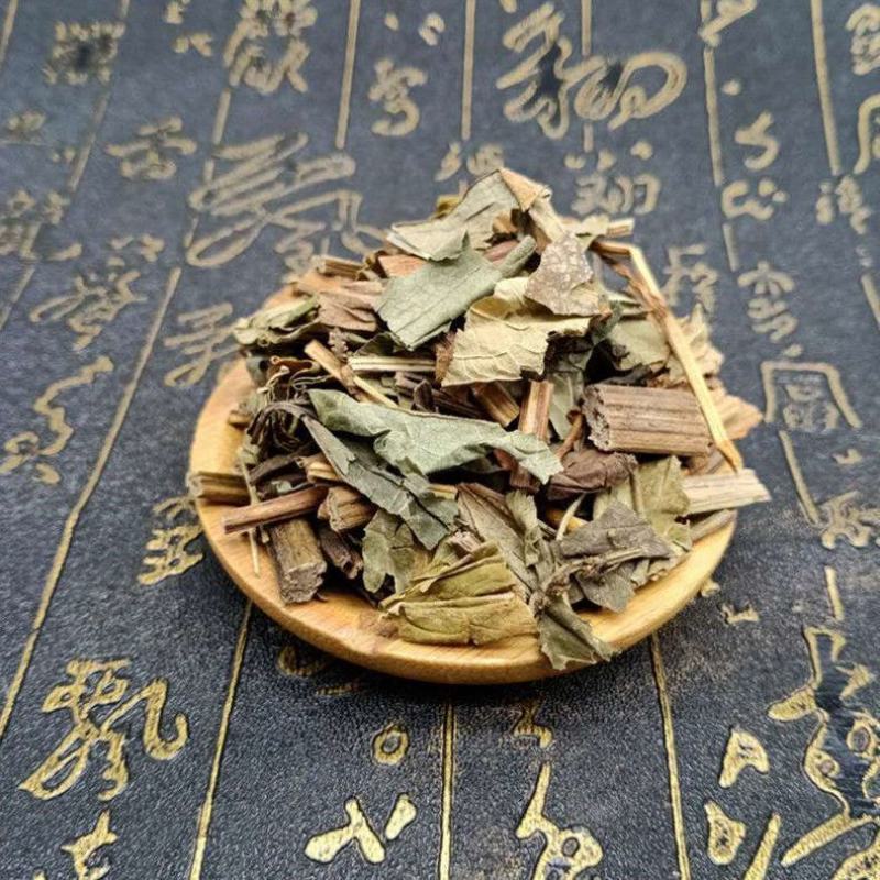 三白草三白草中药材天性草塘边藕白花莲
