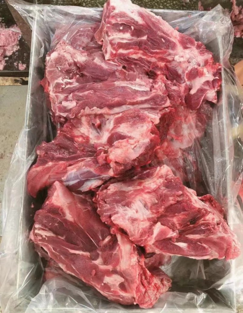 母猪胫骨山东提货手续齐全