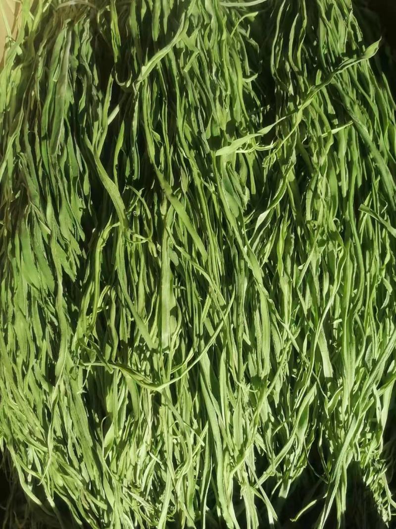 贡菜干