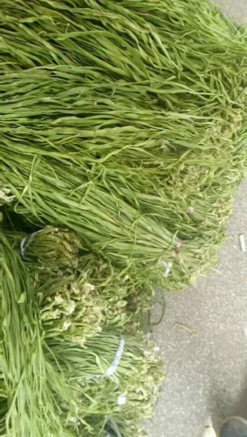 贡菜干