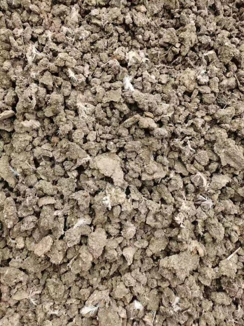 干鸡粪块有机肥厂家大量供应有机肥花卉蔬菜通用天然纯干鸡粪