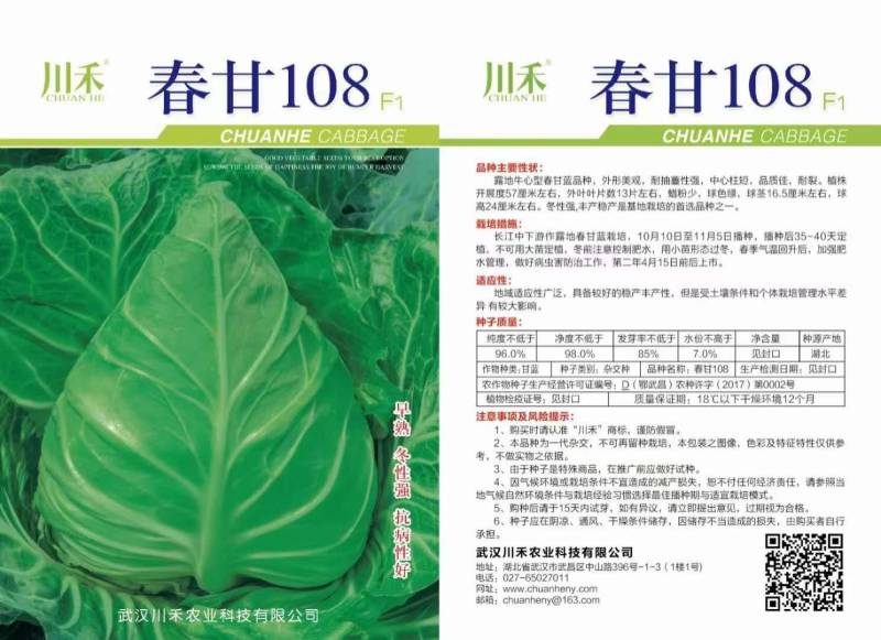 牛心包，外形美观，耐抽苔性强，中心挂短，品质佳耐裂。