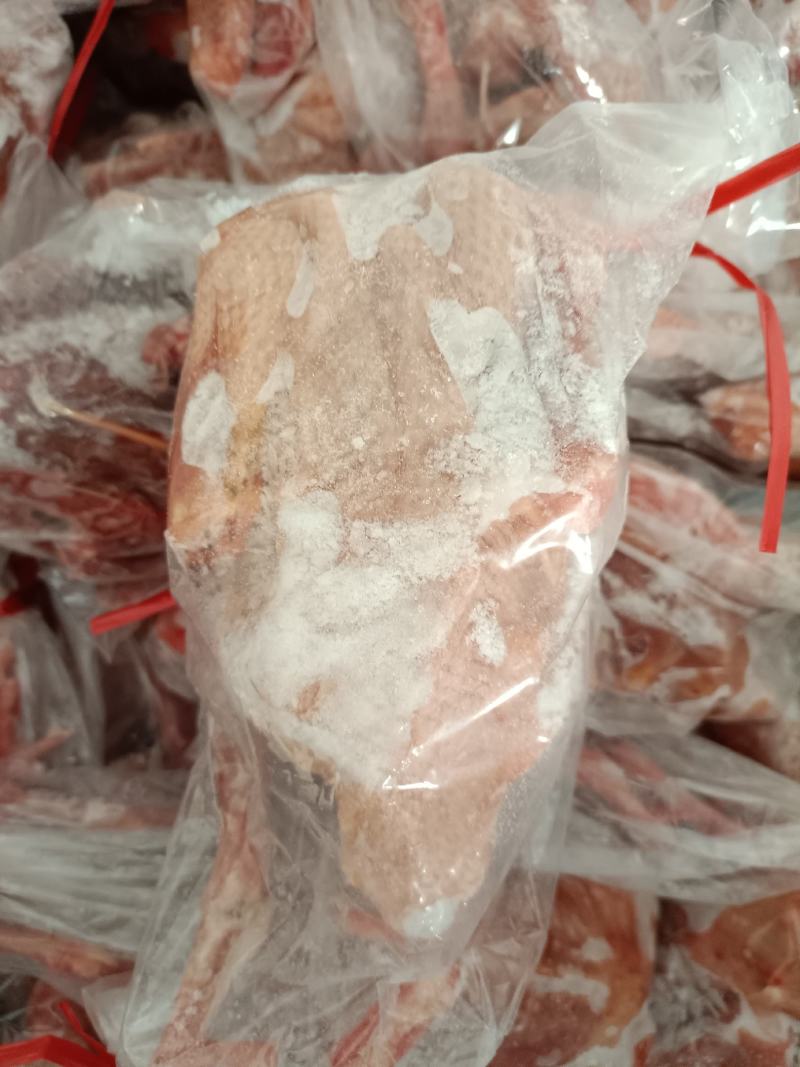 【乳鸽】白条鸽大量供应规格齐全供应批发商电商支持一件代发