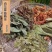 百花益寿茶罗汉果花甜叶菊山蜜蒲公英茶跑江湖摆地摊展会货源