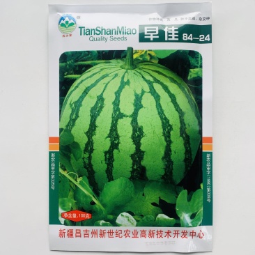 早佳8424西瓜种子早熟全生育期65~70天从开花到成熟