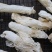 特级精选贵州野生中号AA竹笙颜色白饱满厚肉贵州竹笙久炖不