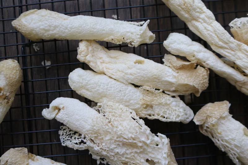 特级精选贵州野生中号AA竹笙颜色白饱满厚肉贵州竹笙久炖不