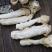 特级精选贵州野生中号AA竹笙颜色白饱满厚肉贵州竹笙久炖不