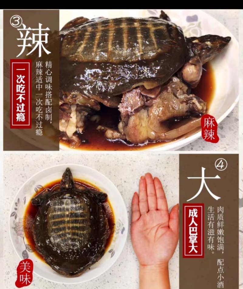 即食甲鱼麻辣甲鱼卤菜熟食微辣甲鱼酱香甲鱼