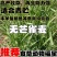 无芒雀麦种子多年生草籽养殖绿化固土护坡耐寒耐旱四季青