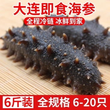 即食海参特价正宗大连海参新鲜独立包装6-10只一斤包邮